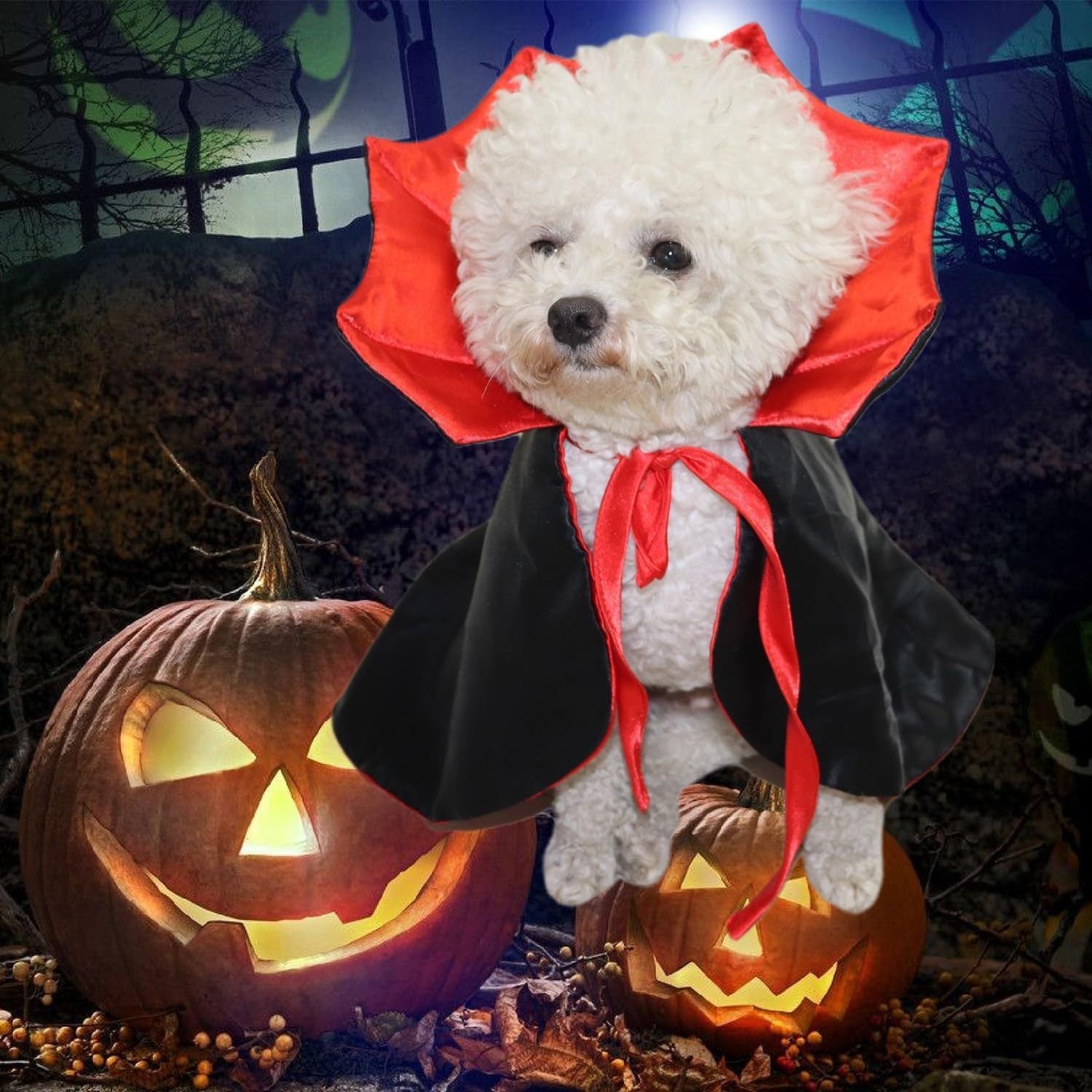 Cute Halloween Pet Costumes Cosplay Vampire Cloak For Small Dog Cat Kitten Puppy Dress Kawaii Pet Clothes Cat Accessoties Gift