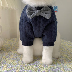 Warm And Cute Clothes For Pets Feet